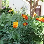 Apartman Bonacic Palace *