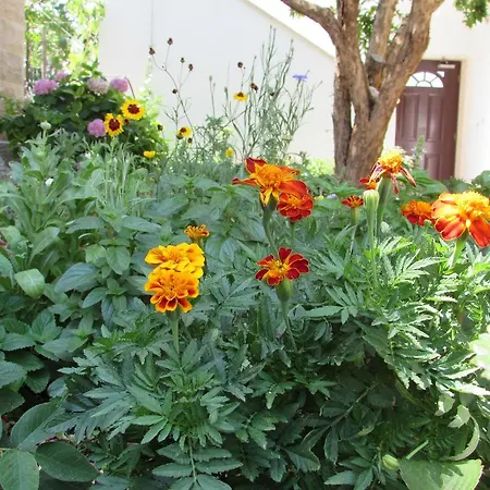 Apartman Bonacic Palace *