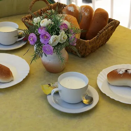 Bonacic Palace * Slatine