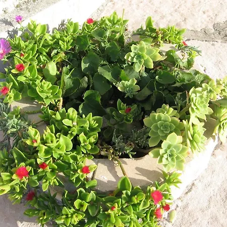 Apartman Bonacic Palace Slatine